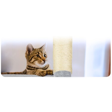 Drapak dla kota legowisko domek wieża zabawka Pethaus