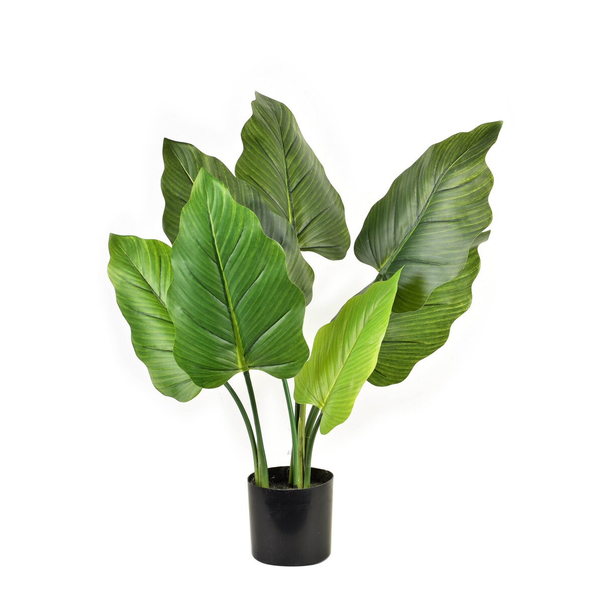 VIRIDIS Kwiat sztuczny alocasia H65cm wdoniczce