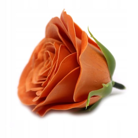 JAK ŻYWA RÓŻA MYDLANA kwiat PASTELOWE na upominek kobiet prezent urodziny