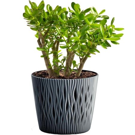 Doniczka Z Wkładem Osłonka Sandy Round 15,8 Cm