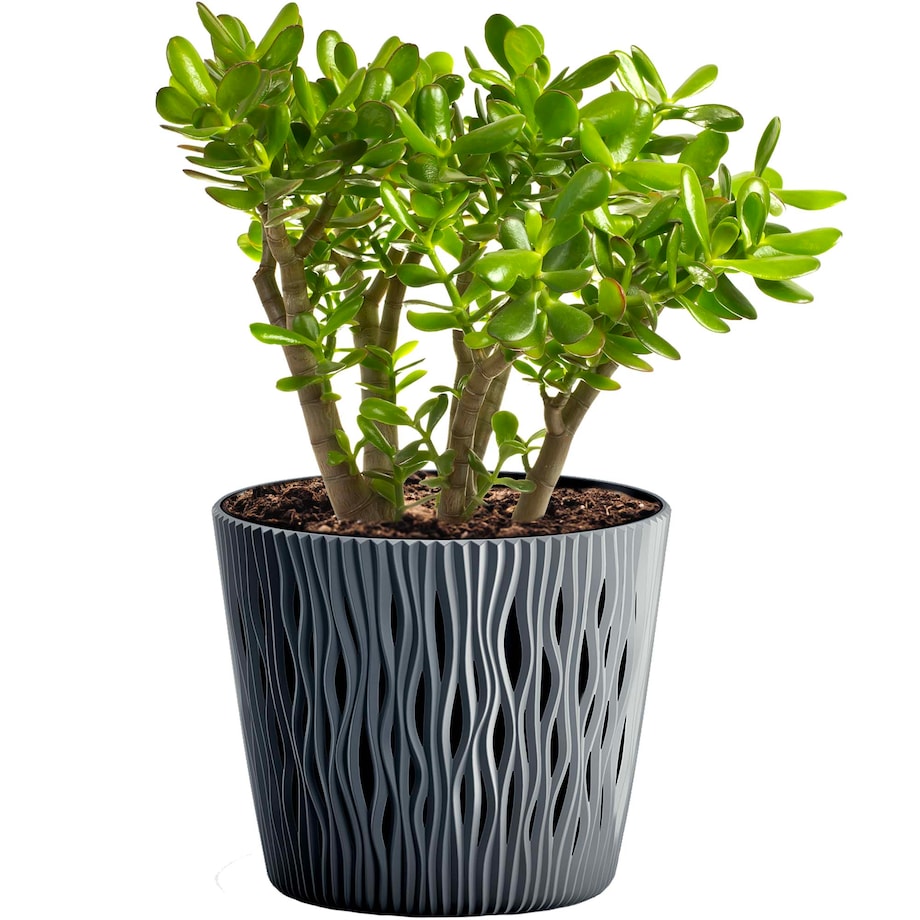 Doniczka Z Wkładem Osłonka Sandy Round 15,8 Cm