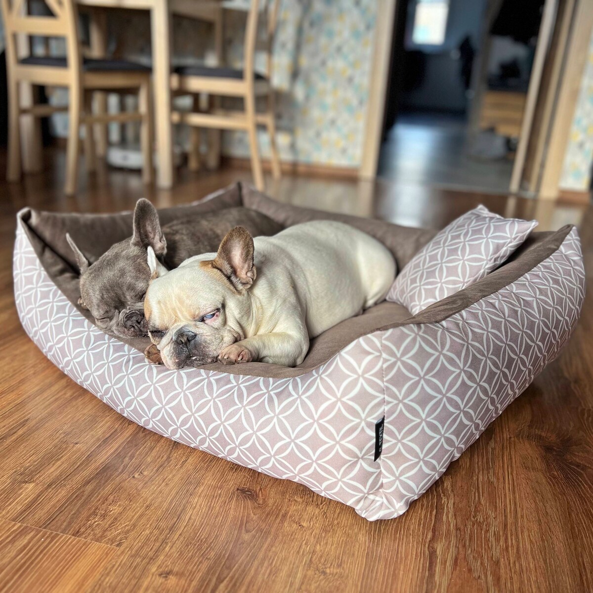 Stylowe legowisko dla kota OTTO, 60x40 cm, Brąz