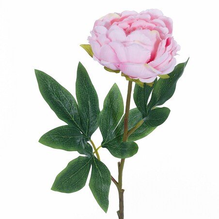 Kwiat Peony Pink 61cm, 61 cm