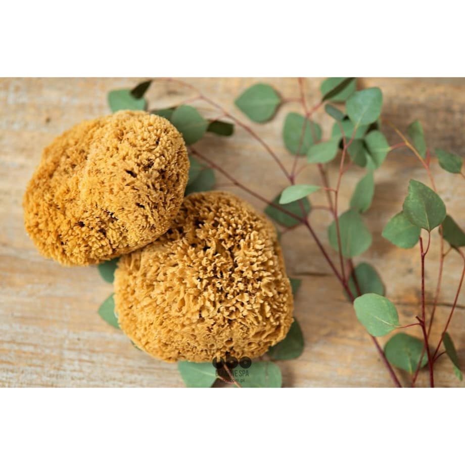 Gąbka naturalna TRAWA rozmiar L UBO