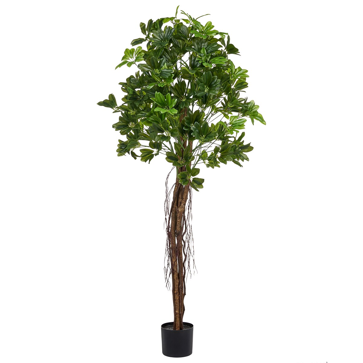 Sztuczna roślina UMBRELLA TREE 175 cm Zielony