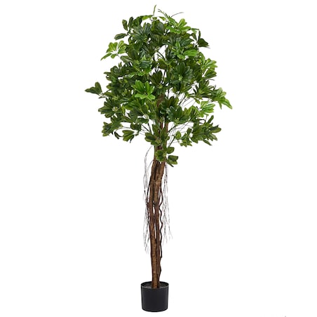 Sztuczna roślina UMBRELLA TREE 175 cm Zielony