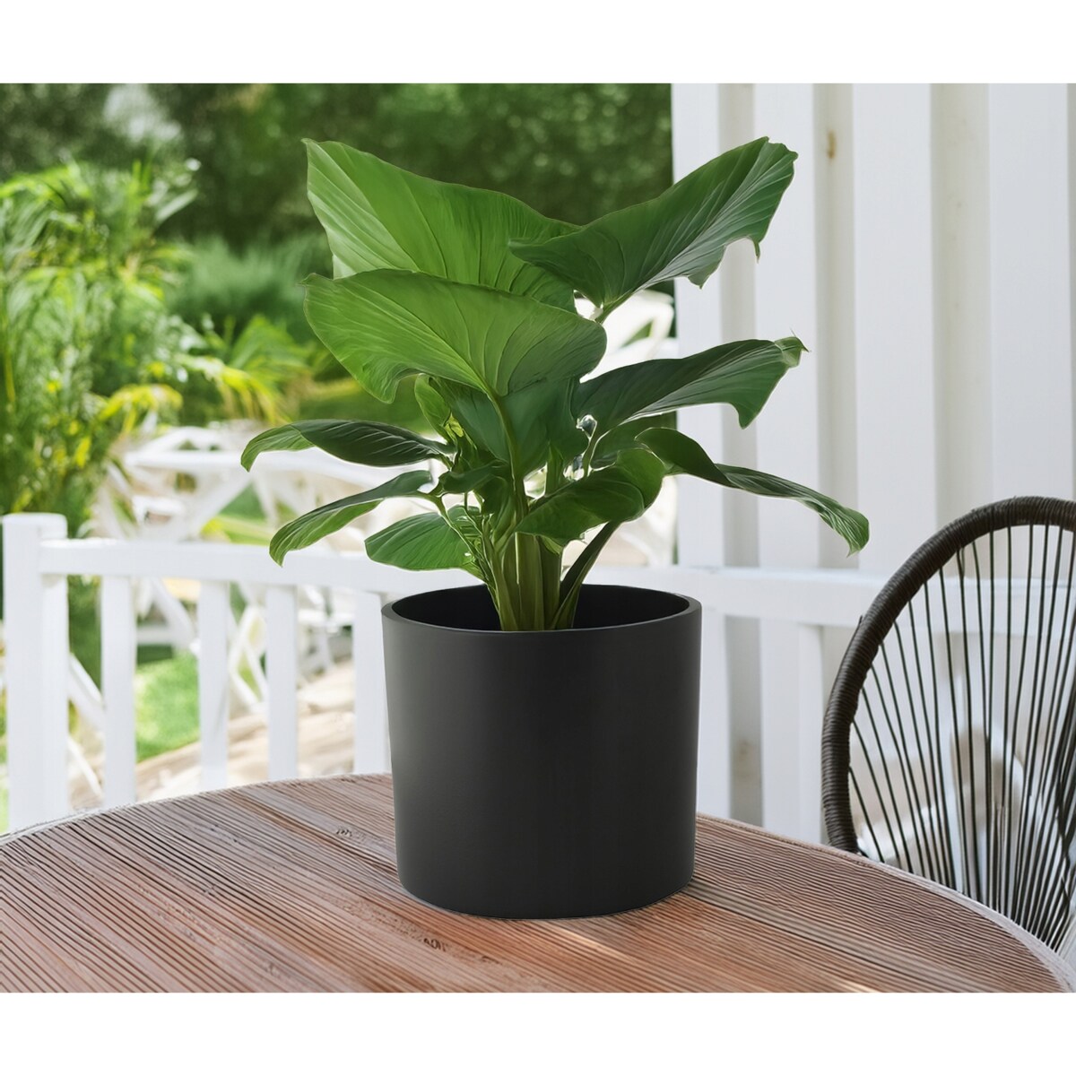 DONICZKA CERAMICZNA DUŻA 19cm czarna osłonka okrągła na bonsai do palmy