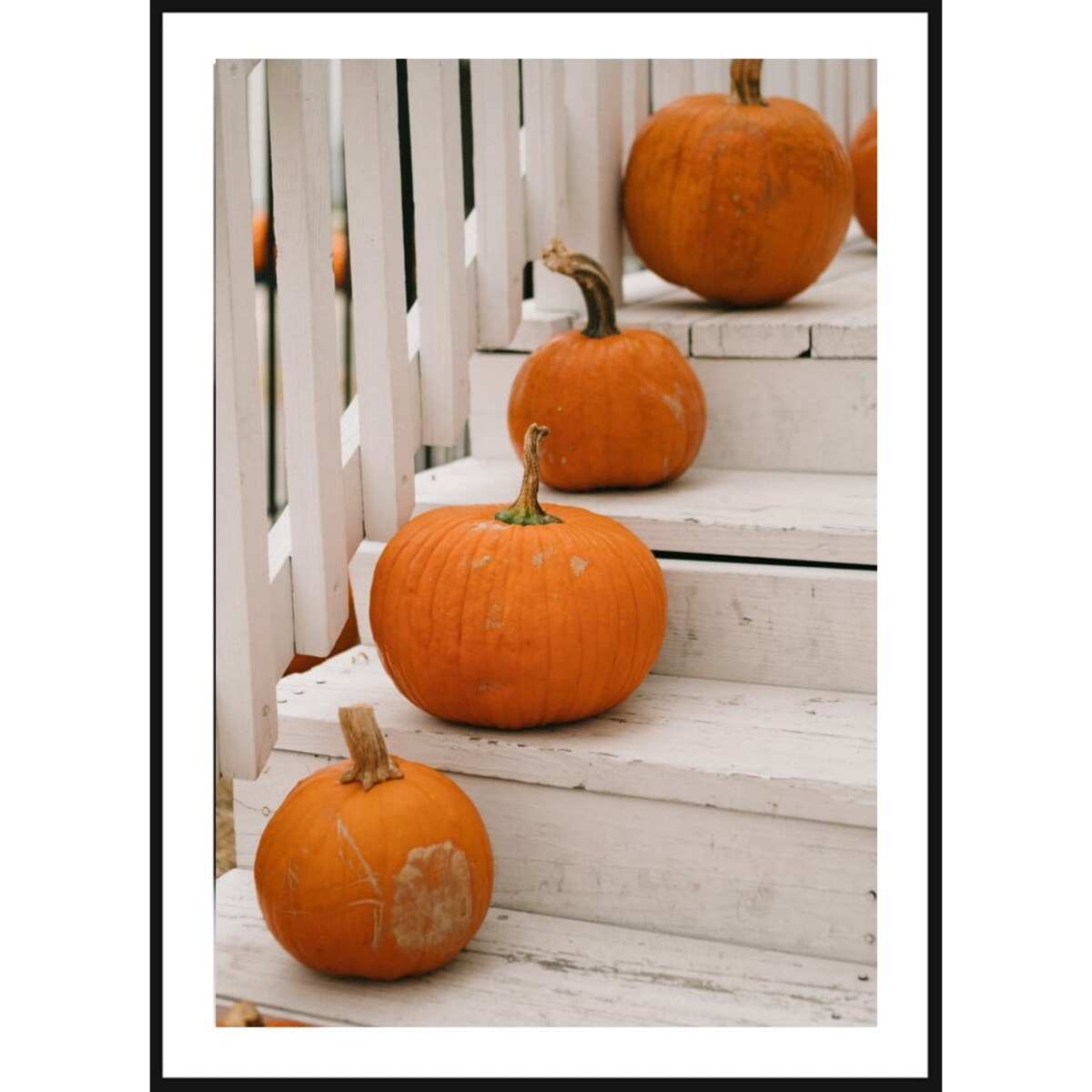 Poster Story, Plakat, Obraz - Dynie Na Białych Schodach, wymiary 21 x 30 cm