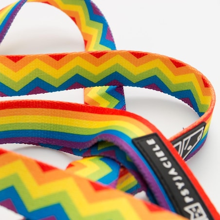 Smycz przepinana z amortyzatorem dla psa lub kota "Miłość, równość, gryzaki" - Szerokość taśmy: 25mm, Rozmiar: L oraz Rodzaj: Duży karabinek