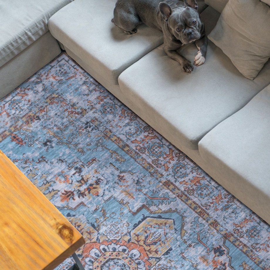 Dywan Klasyczny Sereno 160x230 cm Velvet Niebieski