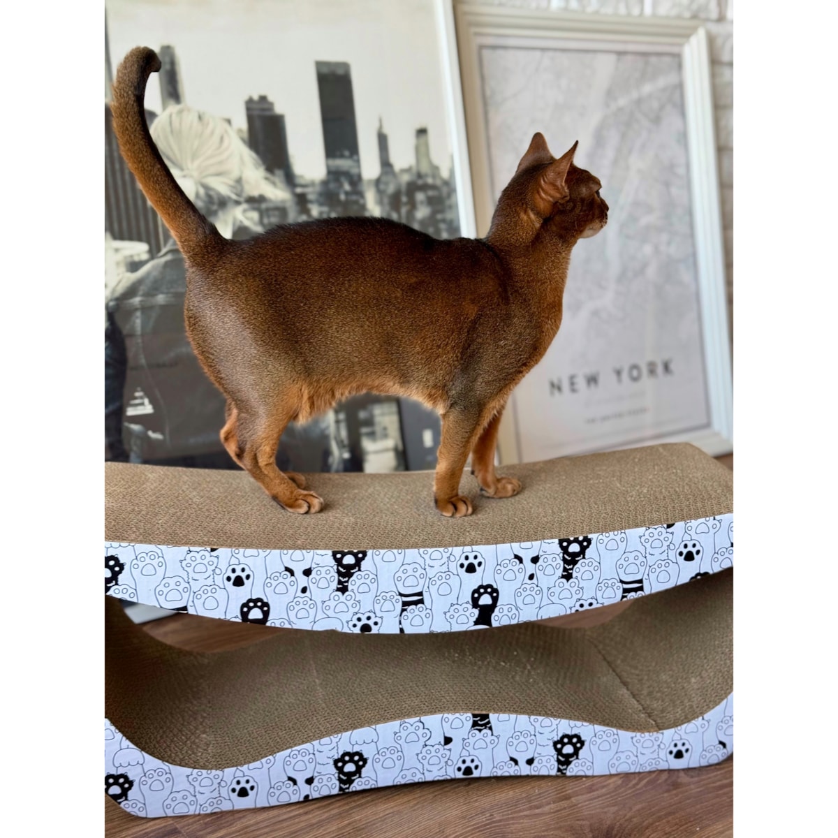 Drapak dla kota TEKTUROWY ekologiczny