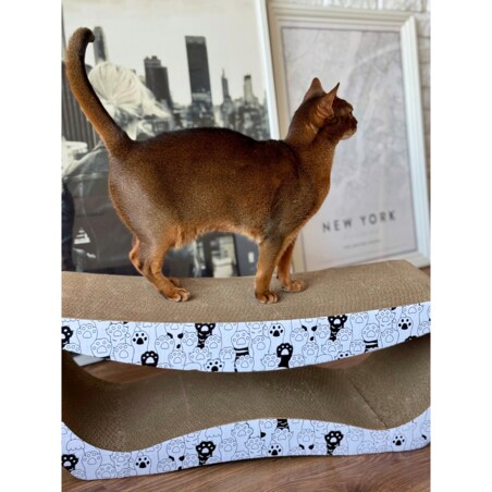 Drapak dla kota TEKTUROWY ekologiczny