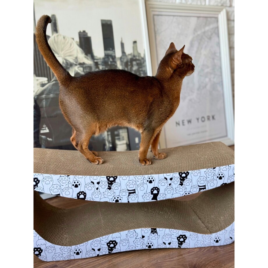 Drapak dla kota TEKTUROWY ekologiczny