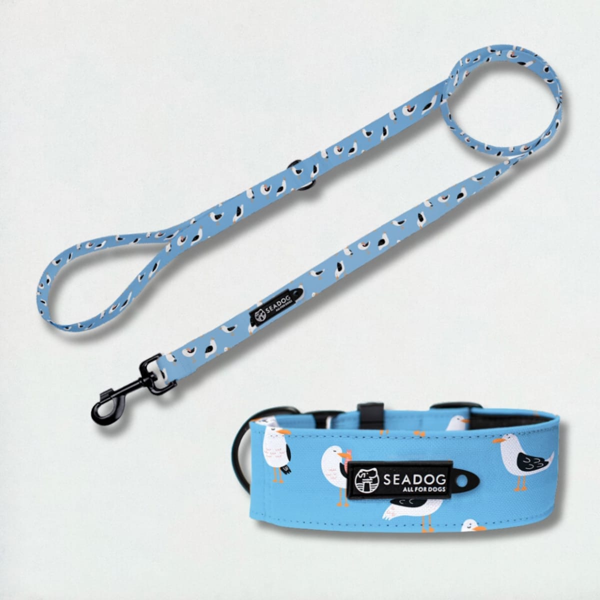 Zestaw: smycz i szeroka obroża, rozmiar M