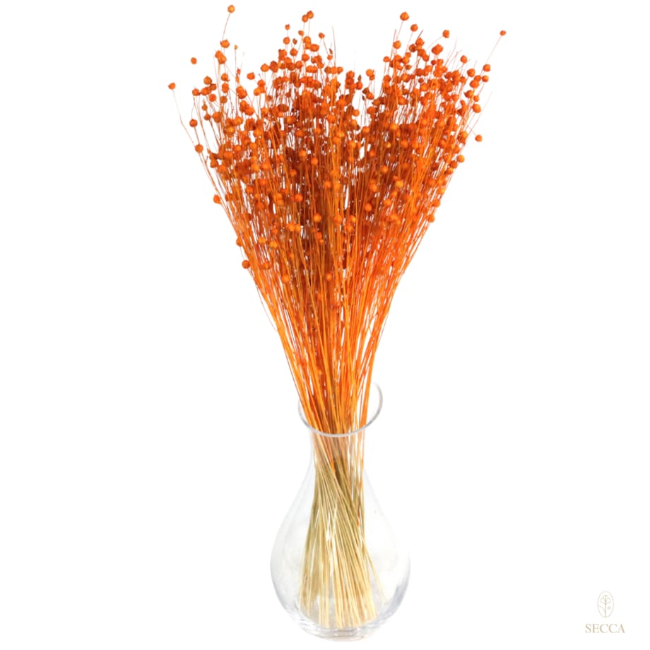 Suszony len pomarańczowy - bukiet