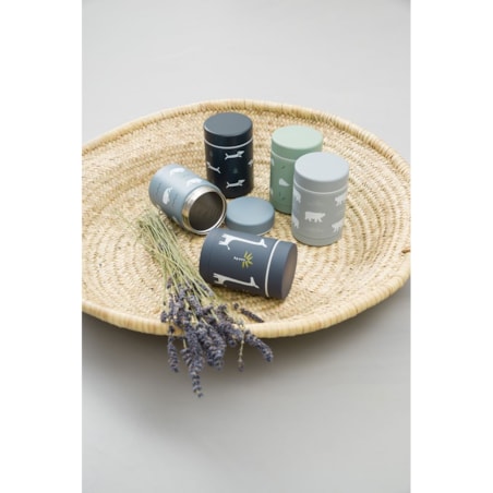 Fresk Termos na jedzenie 300 ml Piesek