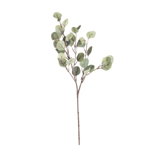 Gałązka Eukaliptusa 68cm, 10 x 5 x 68 cm