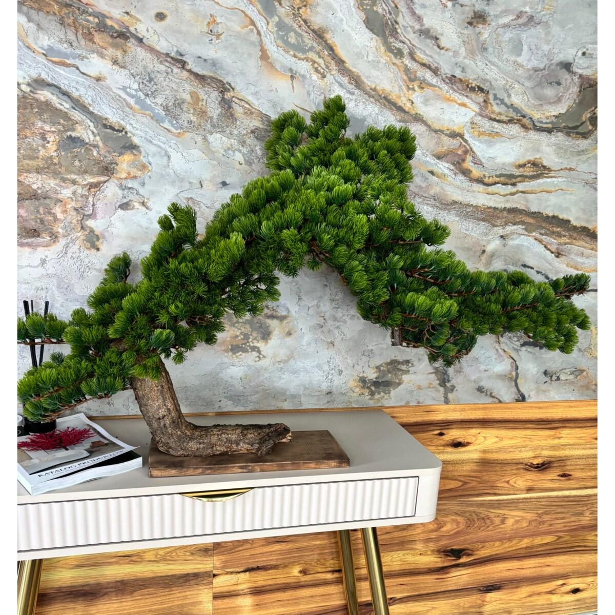 Duże iglaste bonsai na naturalnym pniu 130 cm długości i 70 cm wysokości