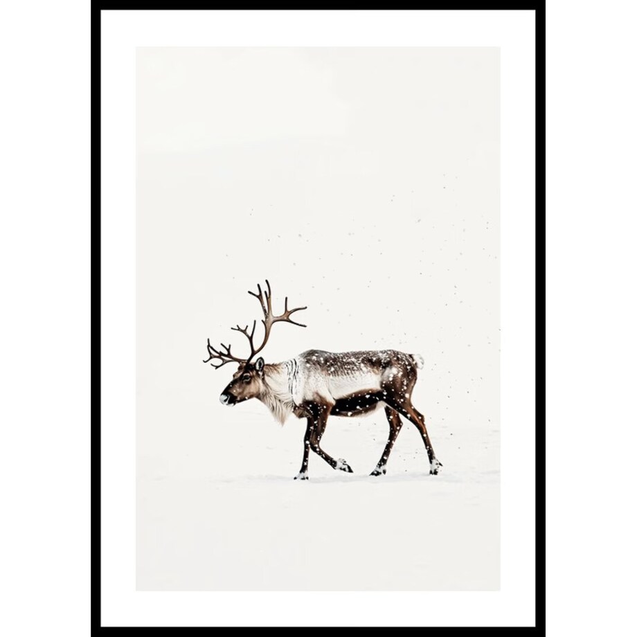 Poster Story, Plakat, Obraz - Renifer w Śniegu, wymiary 30 x 42 cm