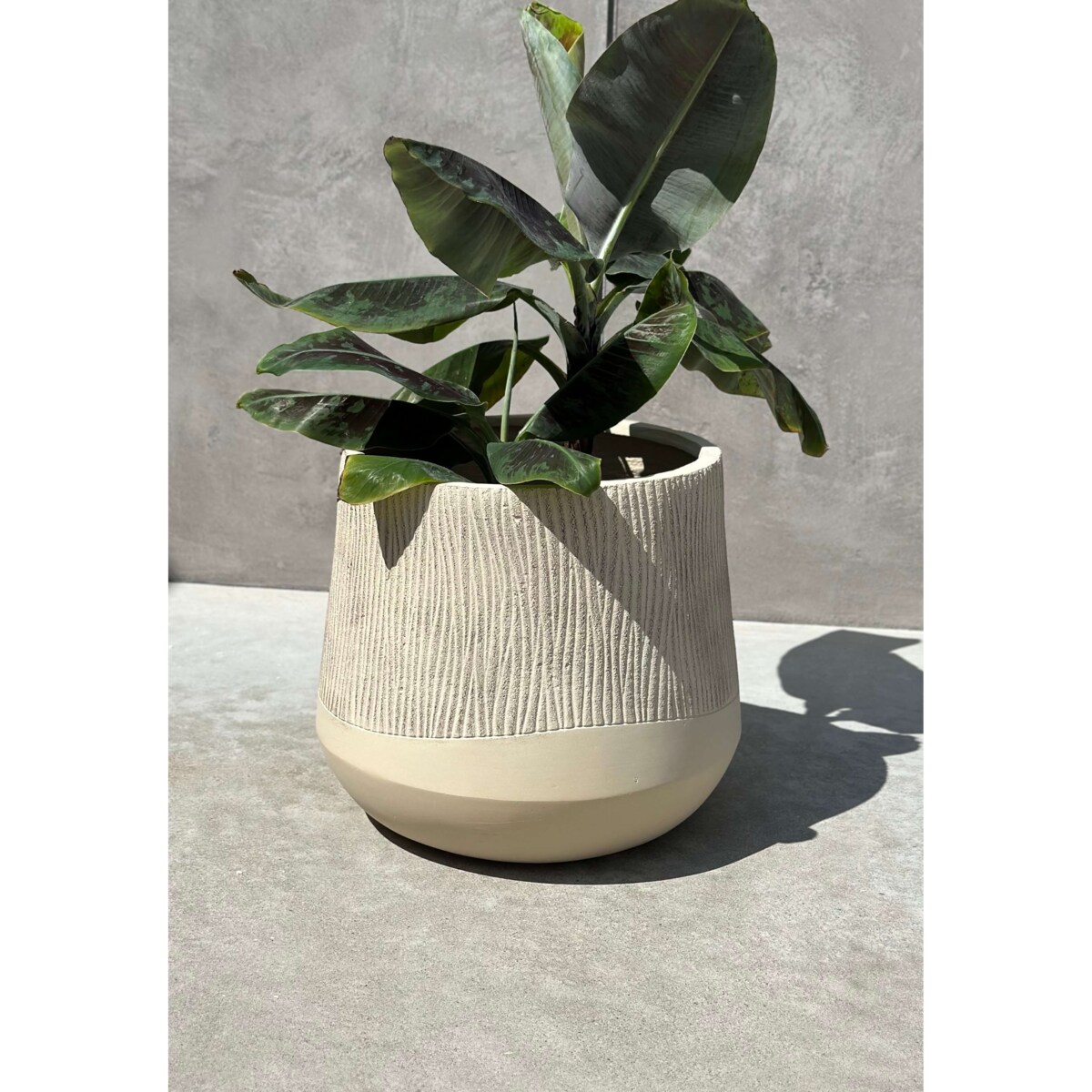 Doniczka Aletto Sand Edge M Monnarita