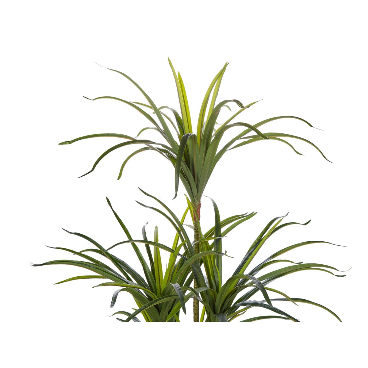 Sztuczna roślina doniczkowa 147 cm DRACAENA ANITA