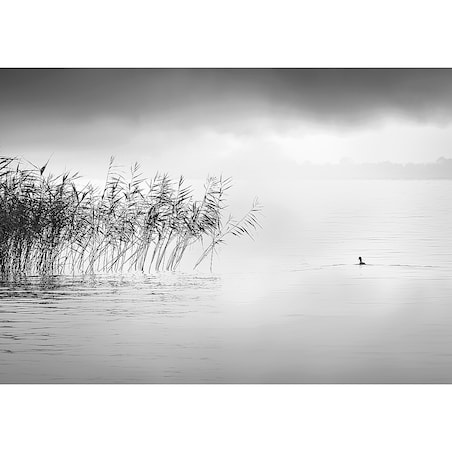 Obraz na płótnie By the Lake II, 100 x 70 cm