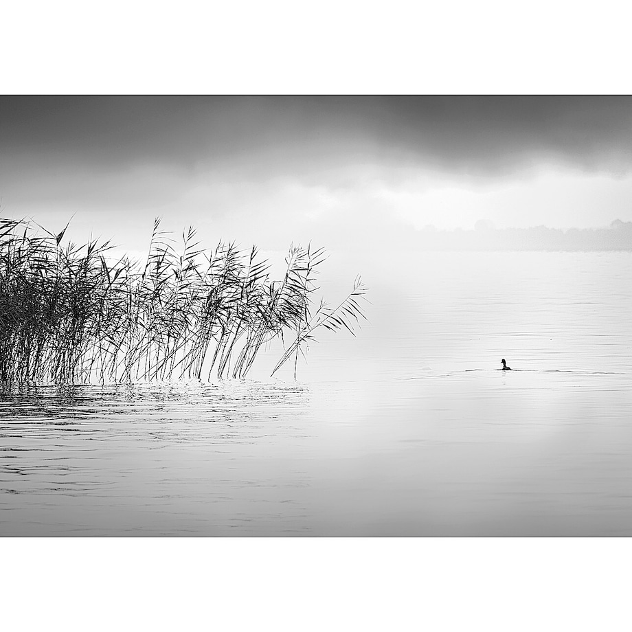 Obraz na płótnie By the Lake II, 100 x 70 cm
