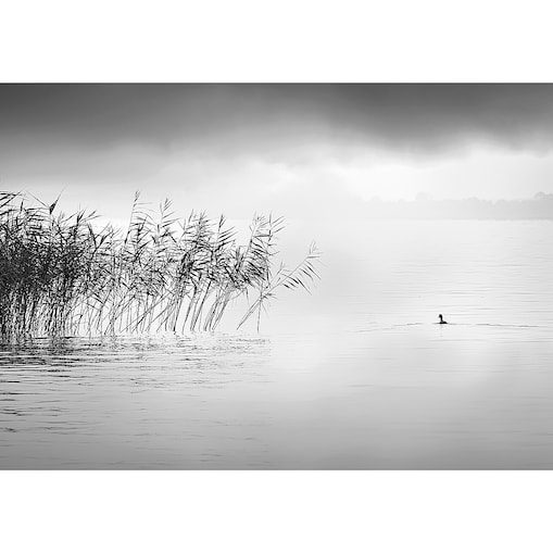 Obraz na płótnie By the Lake II, 100 x 70 cm