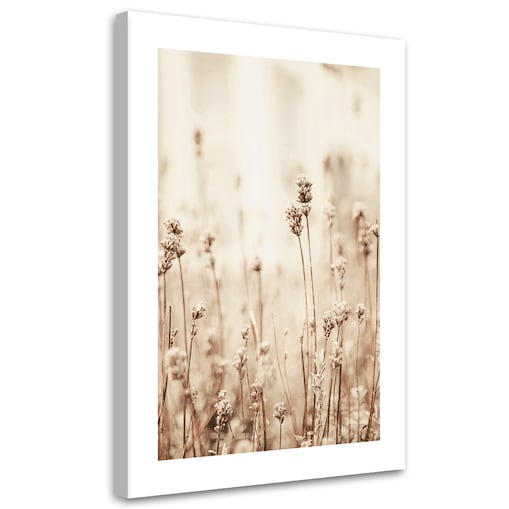 Obraz na płótnie, Delikatne kwiatki polne