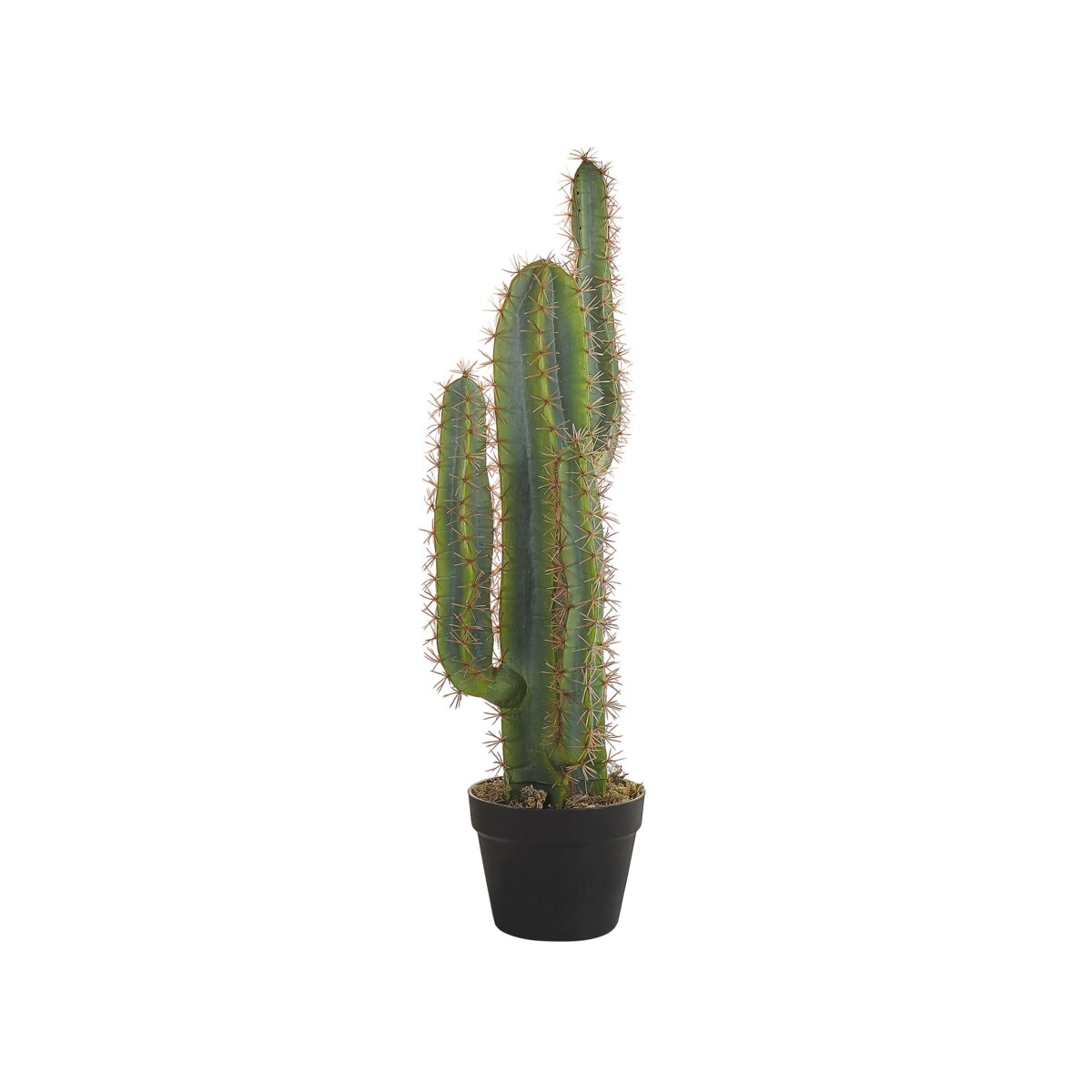 Sztuczna roślina doniczkowa 78 cm CACTUS