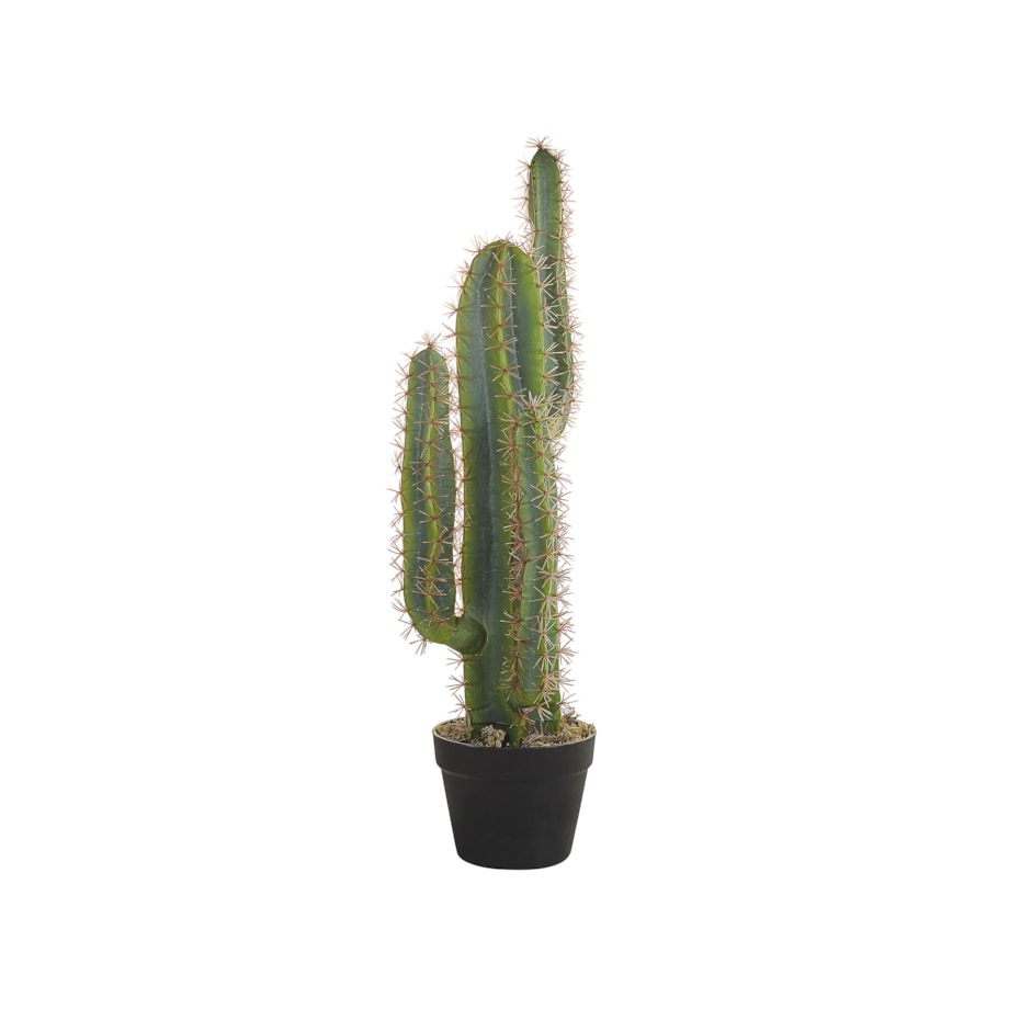 Sztuczna roślina doniczkowa 78 cm CACTUS