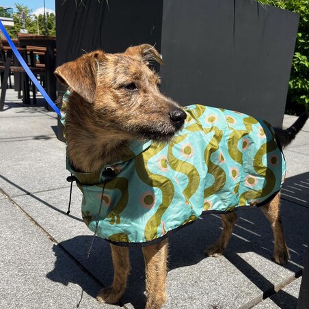 Płaszcz przeciwdeszczowy dla psa Piesss - Rozmiar: M