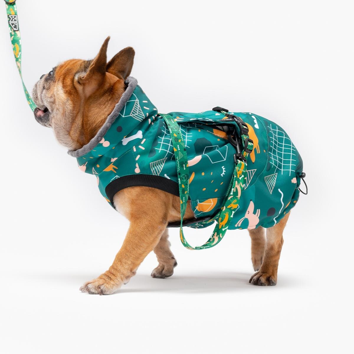 Kurtka dla psa "Psy na jawie" - Rozmiar: XXS