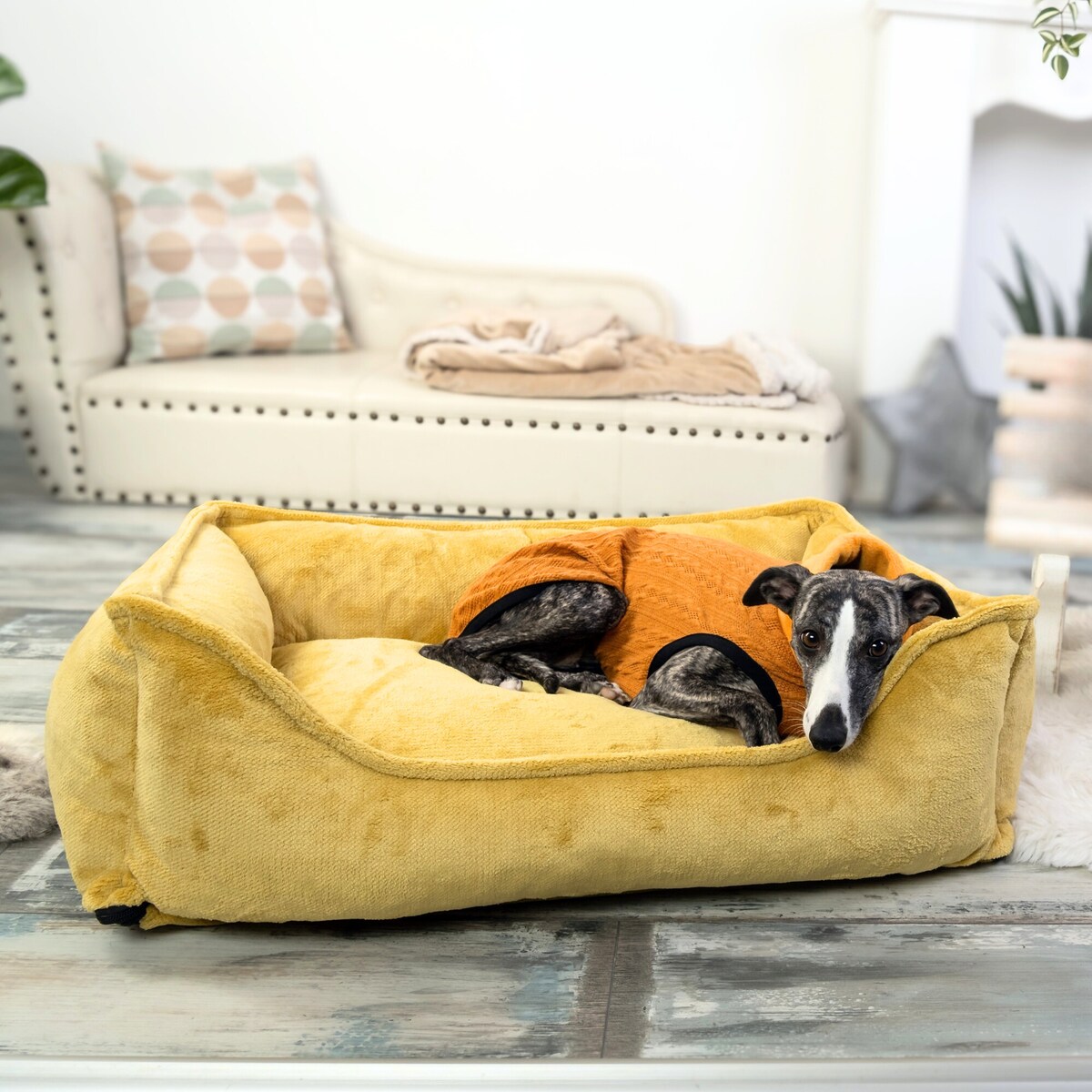 Ortopedyczne legowisko dla psa IRIS, 60x40 cm, Żółty