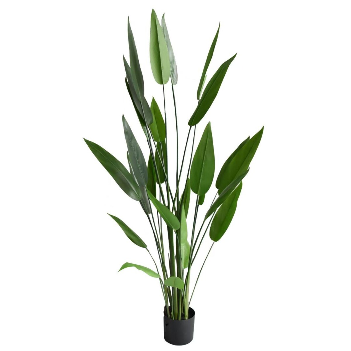 KWIAT DUŻA STRELICJA KRÓLEWSKA 150 cm