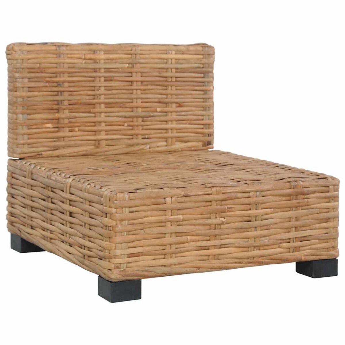 vidaXL Sofa bez podłokietników, z poduszkami, naturalny rattan