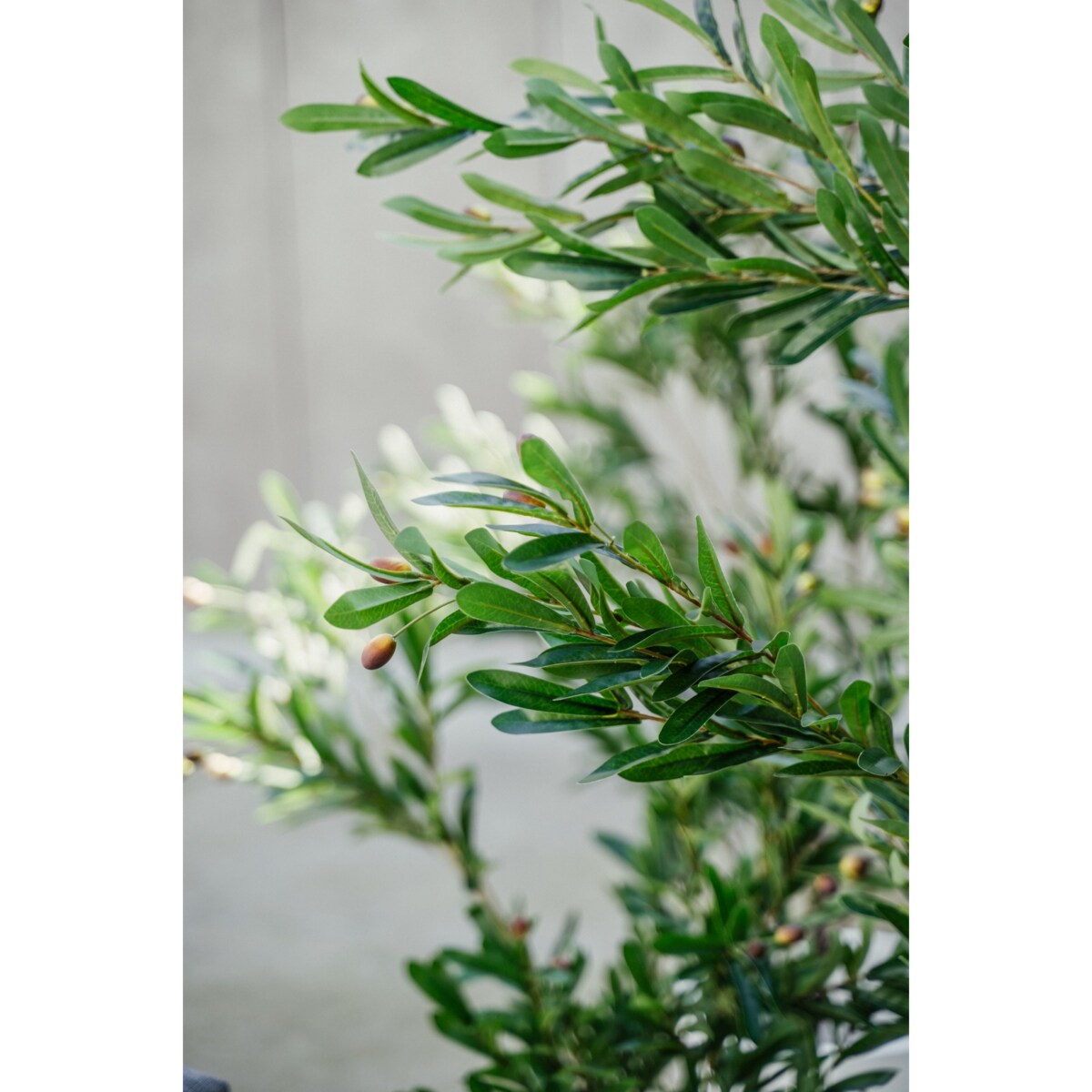 DUŻE DRZEWKO OLIWNE 180 cm - DEKORACJA INSPIROWANA NATURĄ