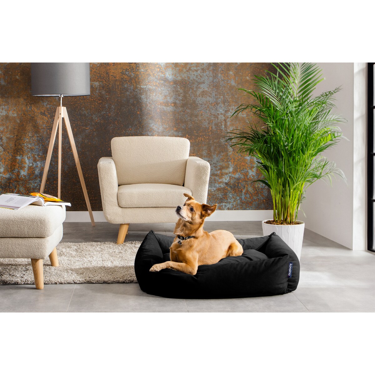 KONSIMO CANINI Legowisko dla małej rasy psa, czarny