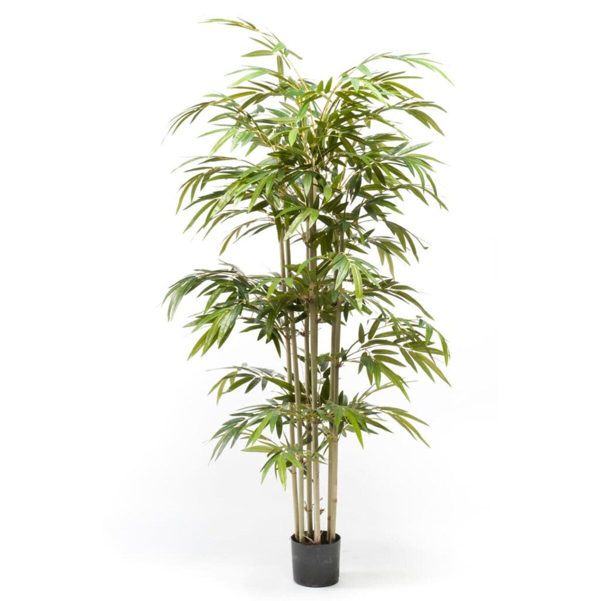 Emerald Sztuczny bambus, 150 cm | home&you