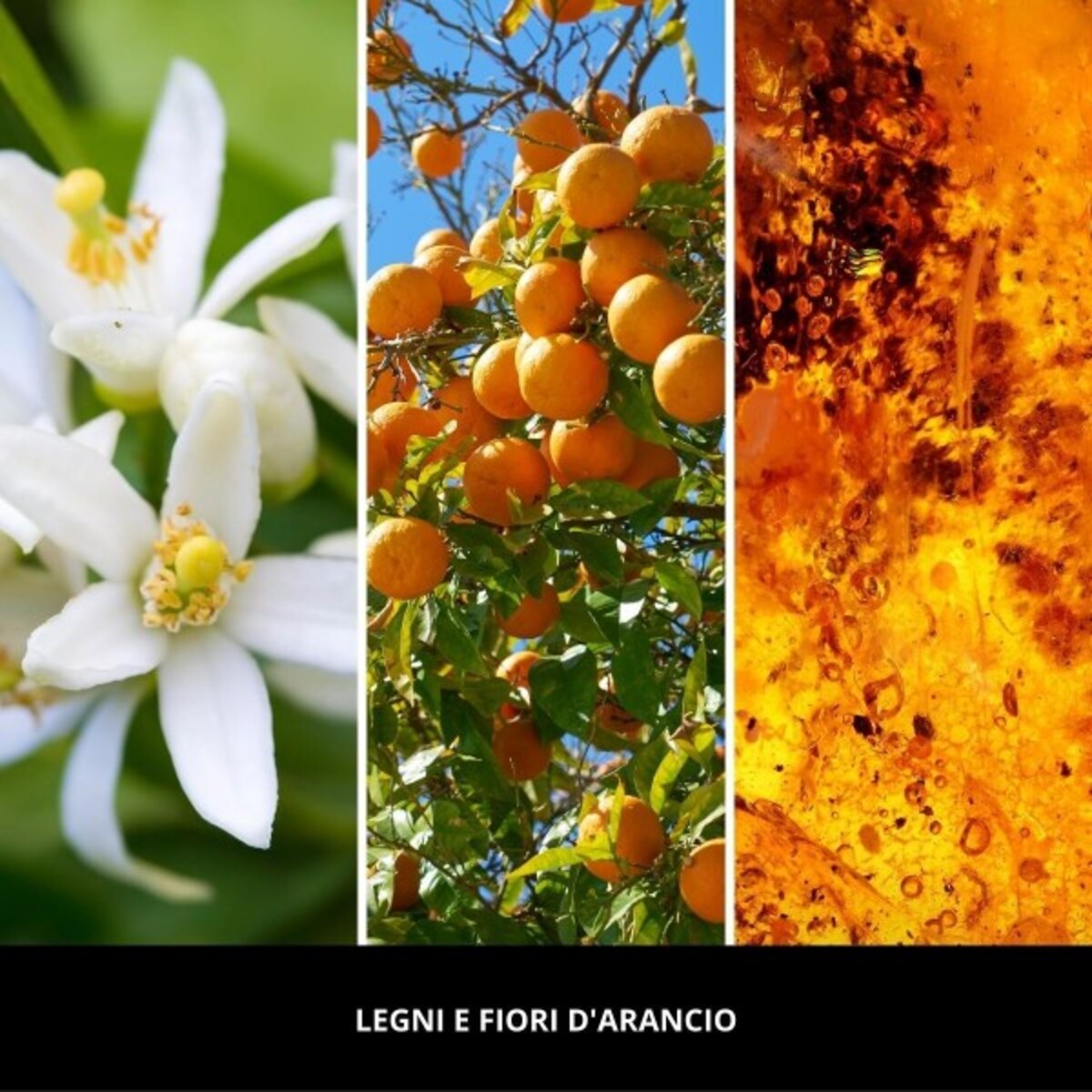 Millefiori spray 150ml LEGNI E FIORI DARANCIO