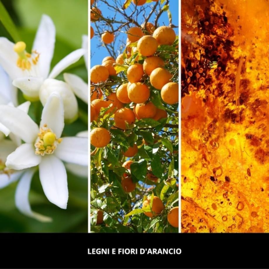 Millefiori spray 150ml LEGNI E FIORI DARANCIO