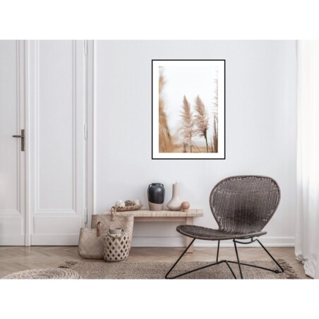 Poster Story, Plakat, Obraz - Wysuszona Trawa, wymiary 42 x 60 cm