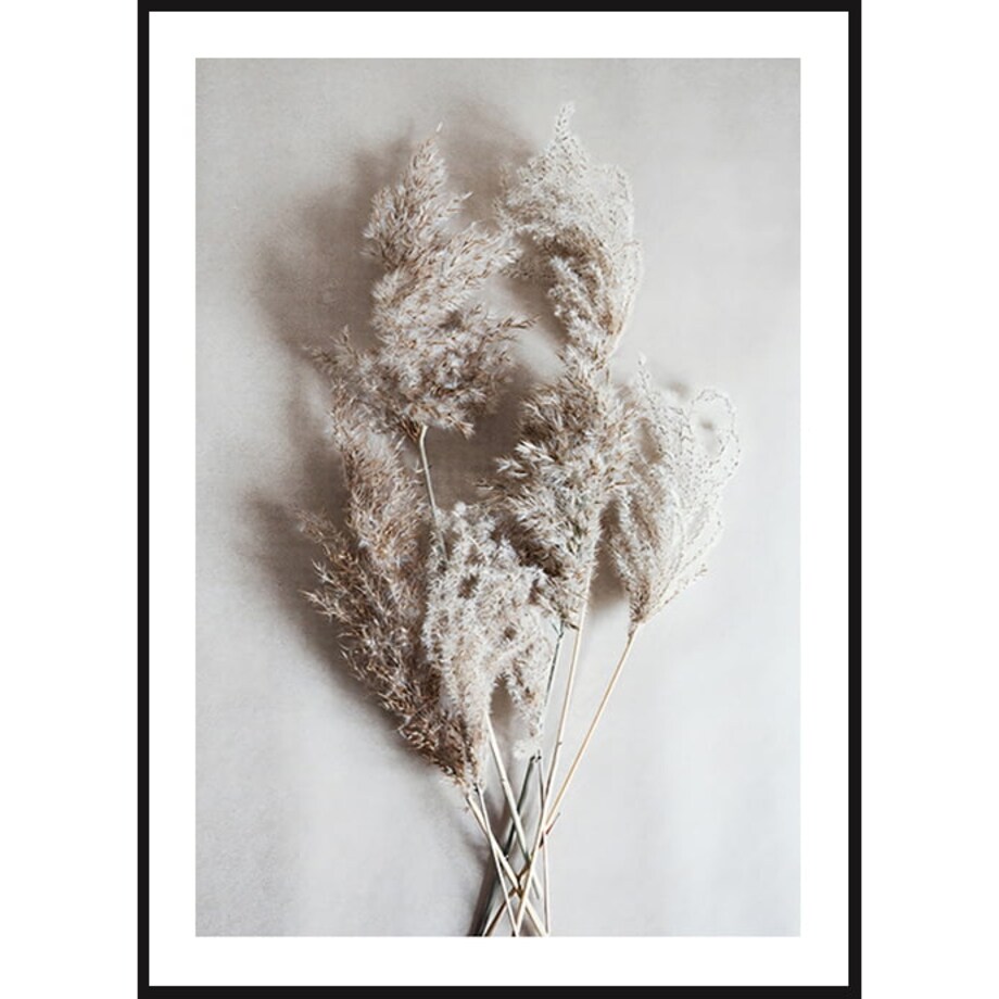 Poster Story, Plakat, Obraz - Trawa Dekoracyjna, wymiary 21 x 30 cm