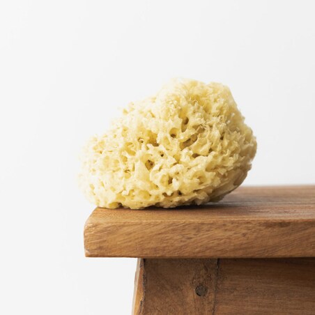 Naturalna gąbka morska (żółta) - 12,5cm 03H