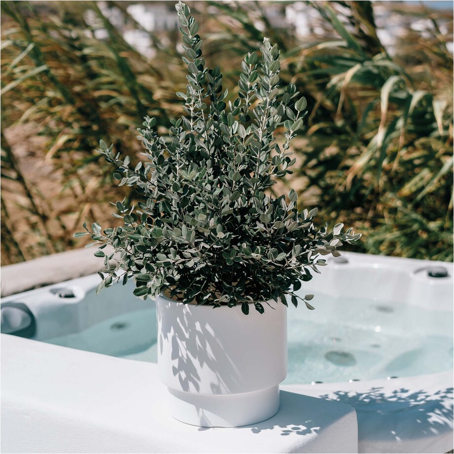 Doniczka Donica Ogrodowa 29,8 Cm Okrągła Na Taras Do Ogrodu Domu Biała