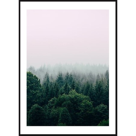 Poster Story, Plakat, Obraz - Las Otulony Mgłą, wymiary 70 x 100 cm