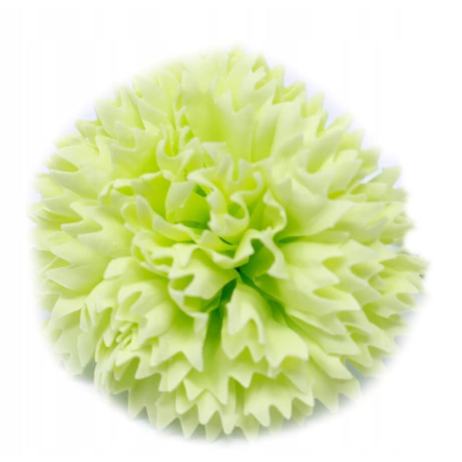 5x KWIATY MYDLANE goździk na UPOMINEK bukiet kobiet ZIELONY stroik pachną