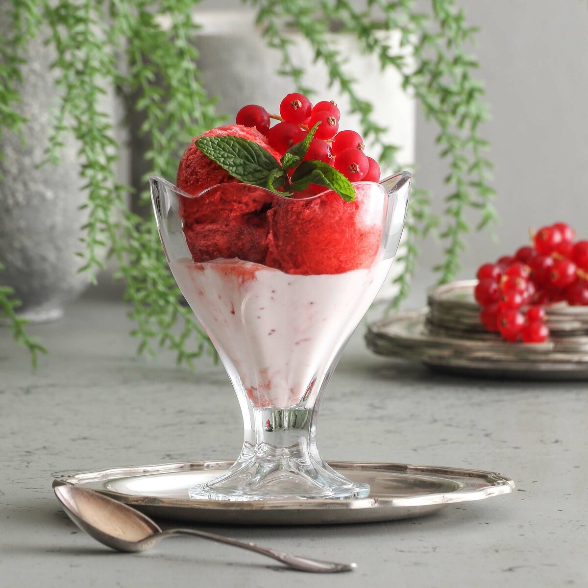 Pucharek Siena, 250ml, LAV