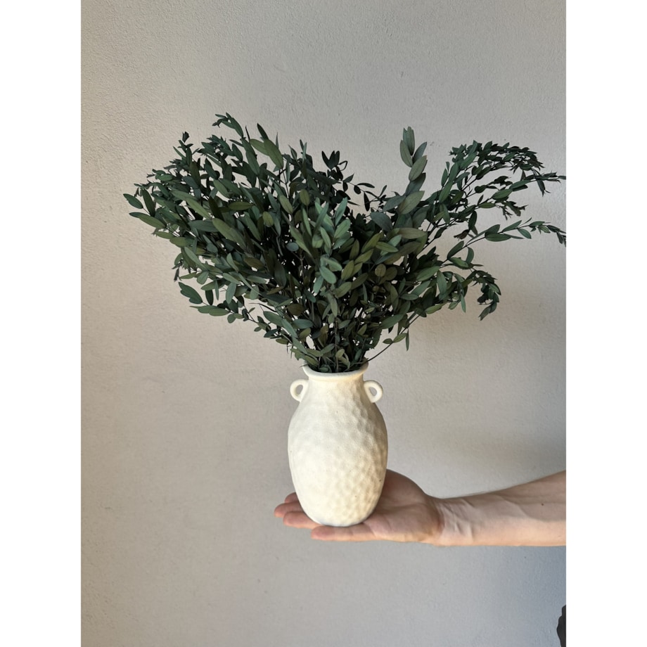 Eukaliptus stabilizowany Parvi (Parvifolia) zielony - liście eukaliptusa