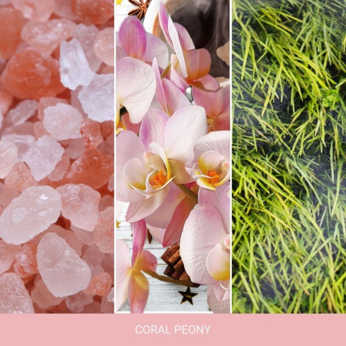 Home Inspiration świeca duża CORAL PEONY